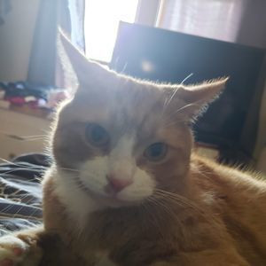 Meet your Posher, Becky